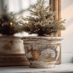 a small potted christmas tree sitting on top of a white table next to a mirror