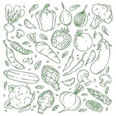 a bunch of vegetables that are drawn in green ink on a white background stock photo