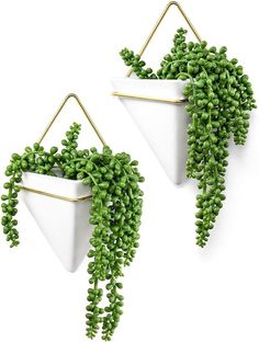 two white hanging planters with green plants in them on the side of a wall