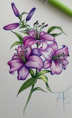 a drawing of purple flowers on paper with a green marker next to it and a pen in the foreground