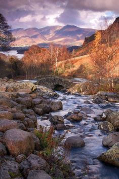 a river running through a lush green forest next to mountains in the distance with trees and rocks on either side