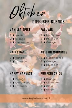 Vanilla Fall Diffuser Blends, Fall Night Essential Oil Blend, Fall Air Diffuser Blend, Diffuser Blends Vanilla, Fall Allergy Diffuser Blend, Doterra Autumn Diffuser Blends, Smell Good Diffuser Blends, Doterra Vanilla Diffuser Blends, Cinnamon Leaf Diffuser Blends