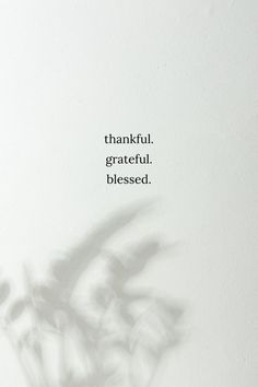 the shadow of a plant on a white wall with a quote about gratefulness in it