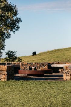 a stone bench sitting on top of a grass covered field next to a tree and cow