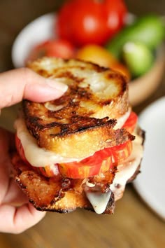 a hand holding a grilled cheese and tomato sandwich