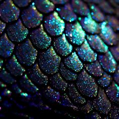 a close up view of the back side of a snake's skin with blue and green holographics