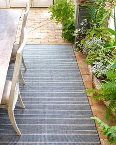 a table and chairs in a room with plants on the floor next to each other