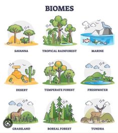 the different types of biomes