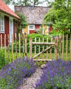 a wooden gate surrounded by purple flowers in front of a red house with white windows