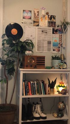 a book shelf filled with lots of books next to a potted plant on top of a hard wood floor