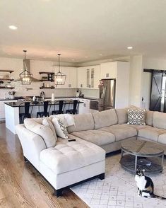 an instagram photo of a living room and kitchen with a cat sitting on the floor