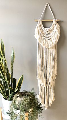 a potted plant sitting next to a macrame wall hanging