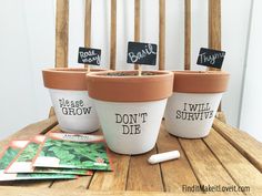 three potted plants sitting on top of a wooden table