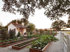 a white house surrounded by lots of trees and vegetables in raised beds on gravel ground