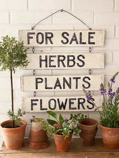 a sign that says for sale herbs plants flowers