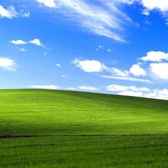 a lone tree stands in the middle of a green field under a blue sky with white clouds