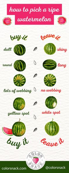 how to pick a ripe watermelon in different ways info graphic by colorsnack