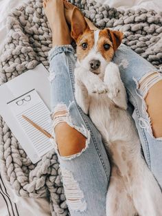 a small dog laying on top of a person's legs next to a book