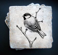 a small bird sitting on top of a piece of stone with a black and white drawing