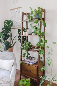 a living room filled with lots of green plants and bookshelf next to a chair