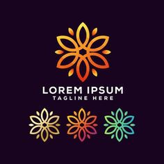 colorful abstract flower logo design on dark background