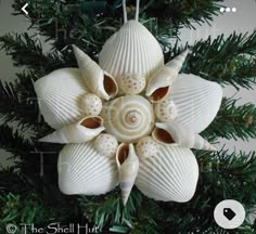 an ornament made out of seashells hangs on a christmas tree