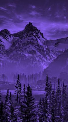 the mountains are covered in snow and purple hued skies, with pine trees on either side