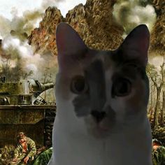 a cat is looking at the camera with an army tank in the back ground behind it