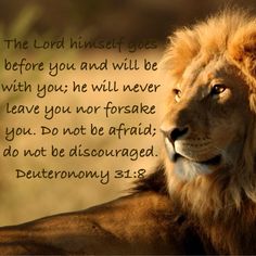 an image of a lion with the bible verse