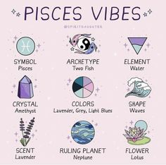 the zodiac signs and their meaningss are shown in this graphic style, which includes different symbols