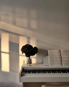 a vase with flowers sitting on top of a piano