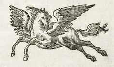 an old drawing of a horse with wings on it's back and its tail spread out