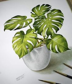 a drawing of a potted plant with green leaves