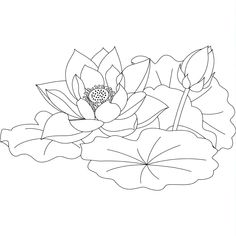 a black and white drawing of water lilies