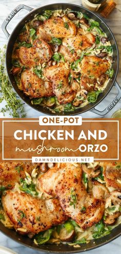 chicken and mushroom orzo in a skillet with text overlay