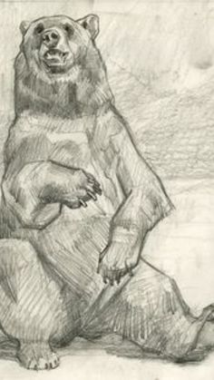 a drawing of a bear sitting on the ground