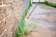 a person spraying water on the side of a brick wall with a sprayer in hand