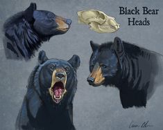 three bears with their mouths open in front of a skull and another bear's head