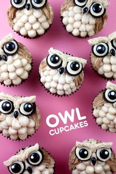 owl cupcakes with black eyes and white frosting