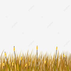 some yellow flowers in the grass on a white background