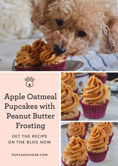 a dog is eating some cupcakes with peanut butter frosting