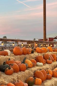 many pumpkins and gourds are stacked on hay