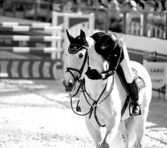 a person riding on the back of a white horse in an enclosed area with people watching