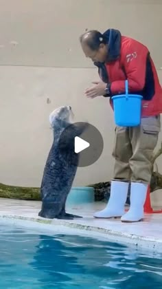 a man standing next to a dolphin in a pool