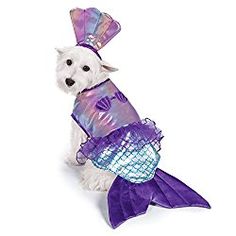 a small white dog wearing a purple mermaid costume