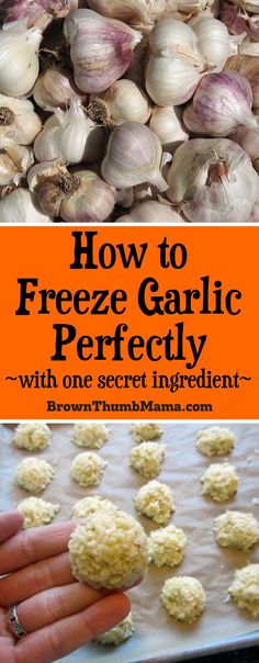 how to freeze garlic perfectly with one secret ingredient