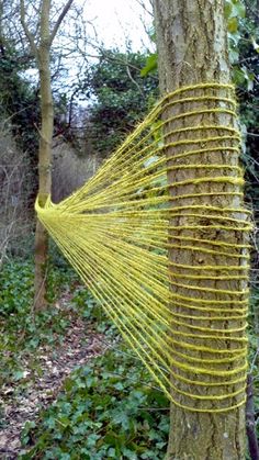 a yellow rope wrapped around a tree in the woods