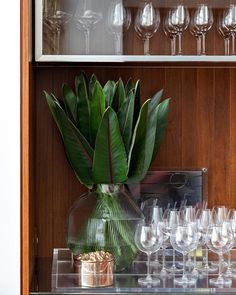 a glass case with wine glasses and a plant in it