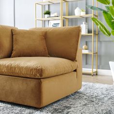 a brown chair sitting on top of a rug in a living room next to a potted plant