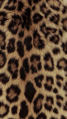 an animal print pattern is shown in brown and black colors on the skin of a cheetah